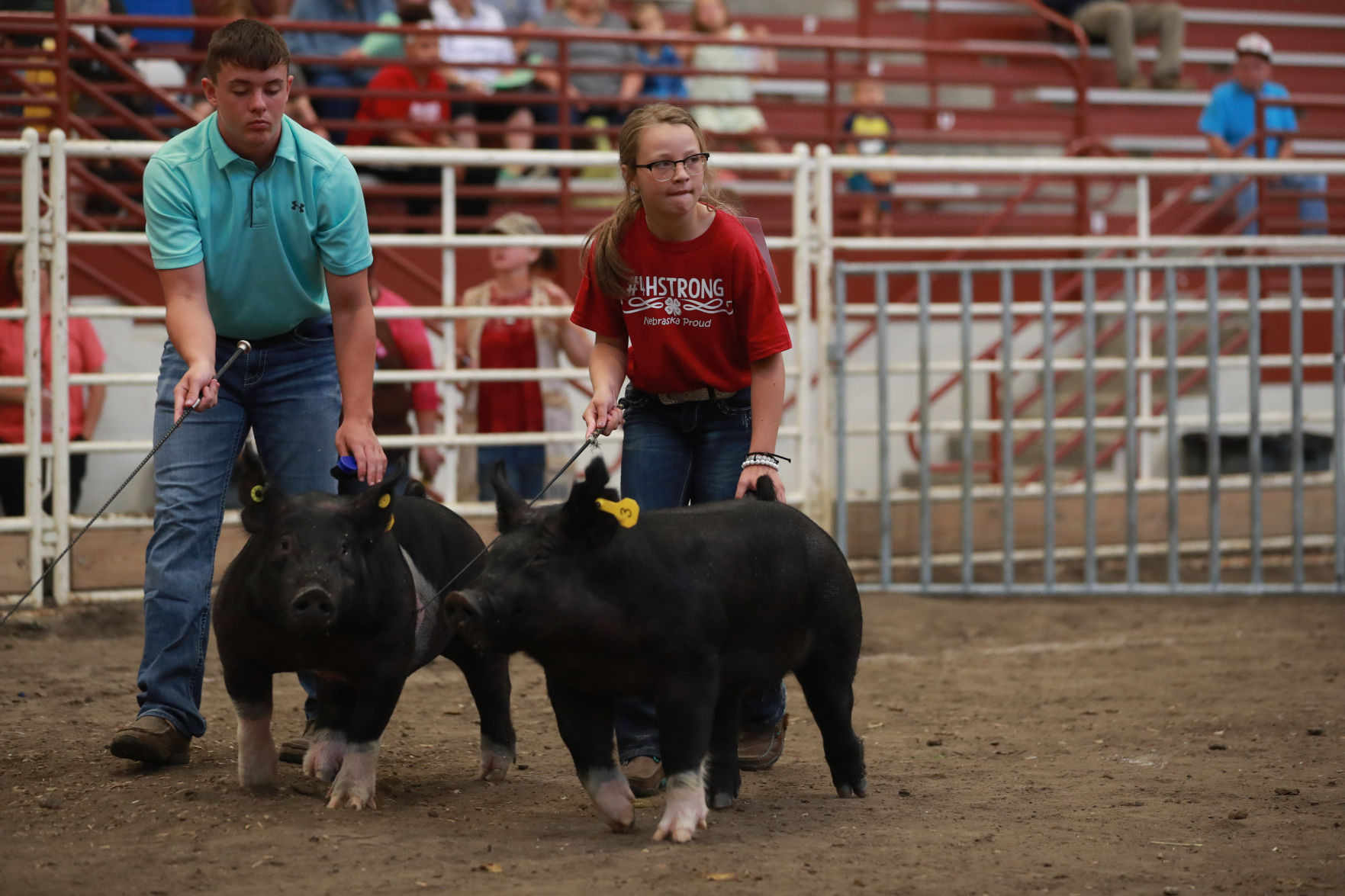 071119_HallCoFair13_bjs.JPG
